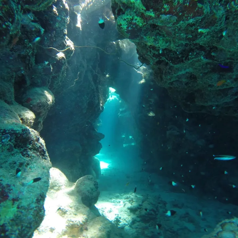 Shafts of light through the corals of the Sataya reef